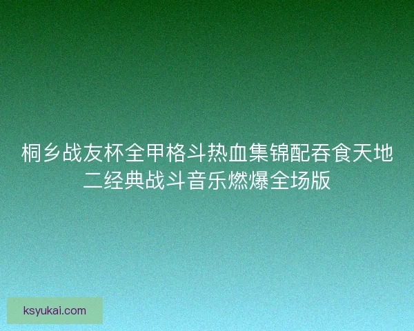 桐乡战友杯全甲格斗热血集锦配吞食天地二经典战斗音乐燃爆全场版